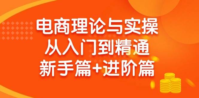 电商理论与实操从入门到精通 新手篇+进阶篇-艾莉资源