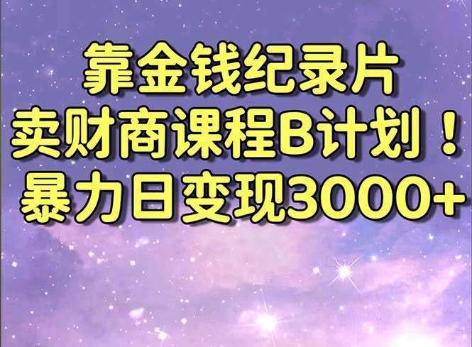 靠金钱纪录片卖财商课程B计划！暴力日变现3000+，喂饭式干货教程！-艾莉资源