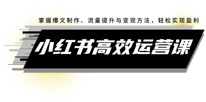 小红书高效运营课：掌握爆文制作、流量提升与变现方法，轻松实现盈利-艾莉资源