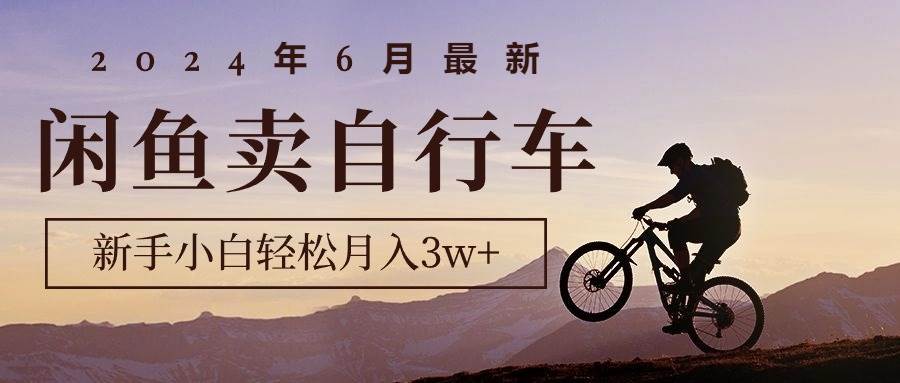 2024年6月最新闲鱼卖自行车，新手小白轻松月入3w+项目-艾莉资源