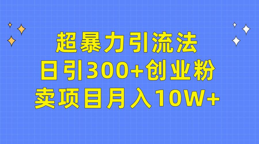 超暴力引流法，日引300+创业粉，卖项目月入10W+-艾莉资源