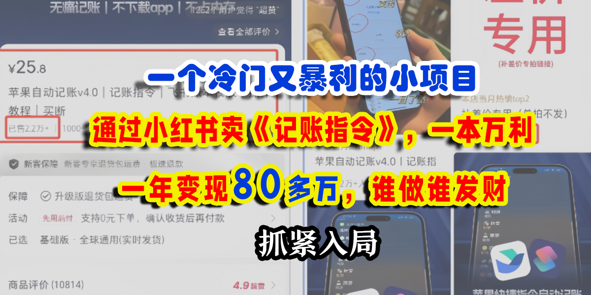 一个冷门又暴利的小项目，通过小红书卖《记账指令》，一本万利，一年变现80多万，谁做谁发财-艾莉资源