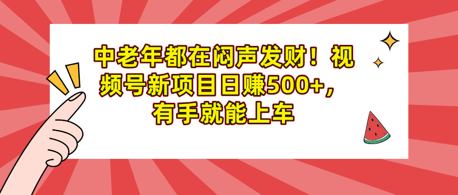 中老年都在闷声发财！视频号新项目日赚500+，有手就能上车-艾莉资源