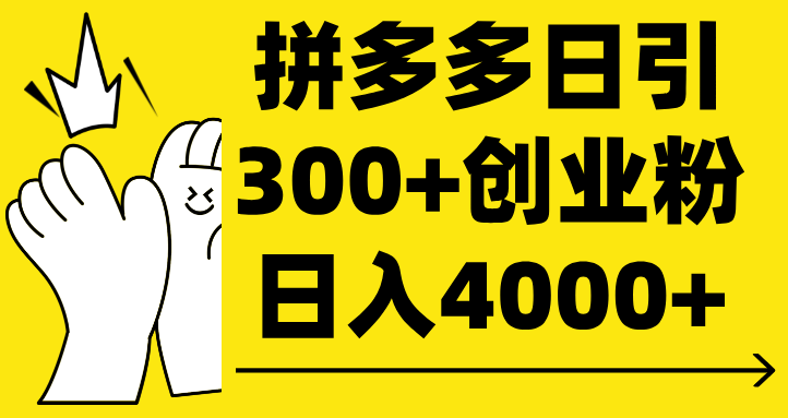 拼多多日引300+创业粉 日入4000+-艾莉资源