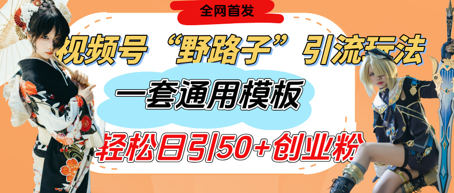 视频号“野路子”玩法，评论区疯狂截流，一套模板单日单号引流50+创业粉-艾莉资源