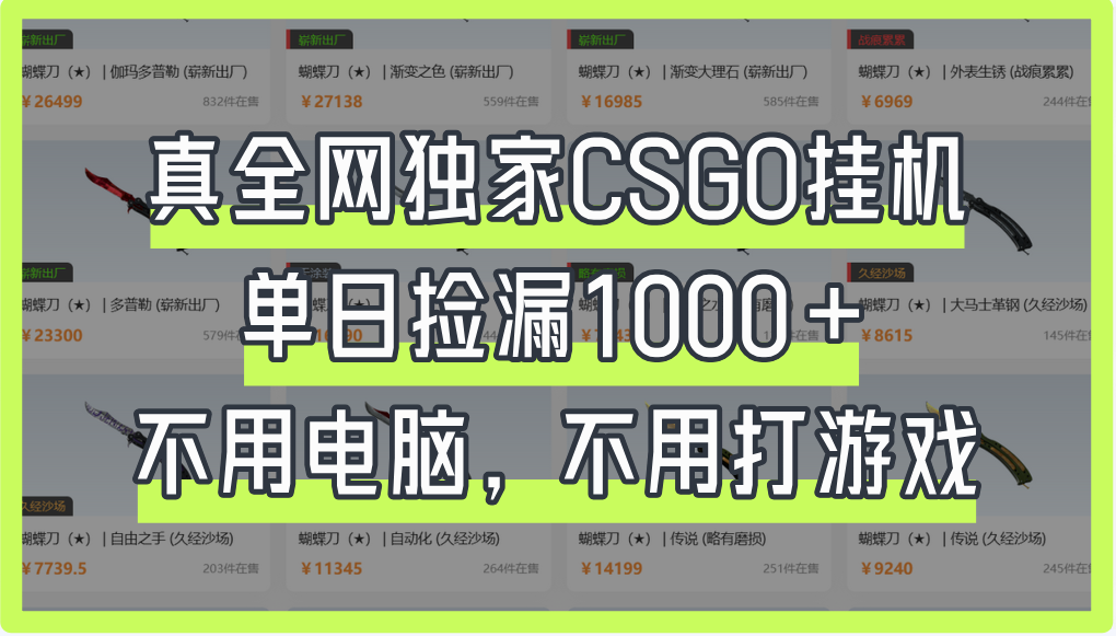 真全网独家CSGO挂机，单日捡漏1000+-艾莉资源