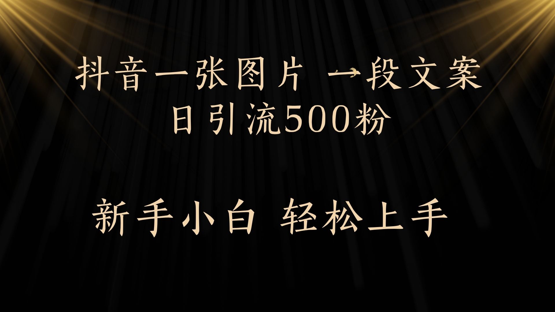 每天2分钟，抖音一张图片 一段文案日引流500粉-艾莉资源