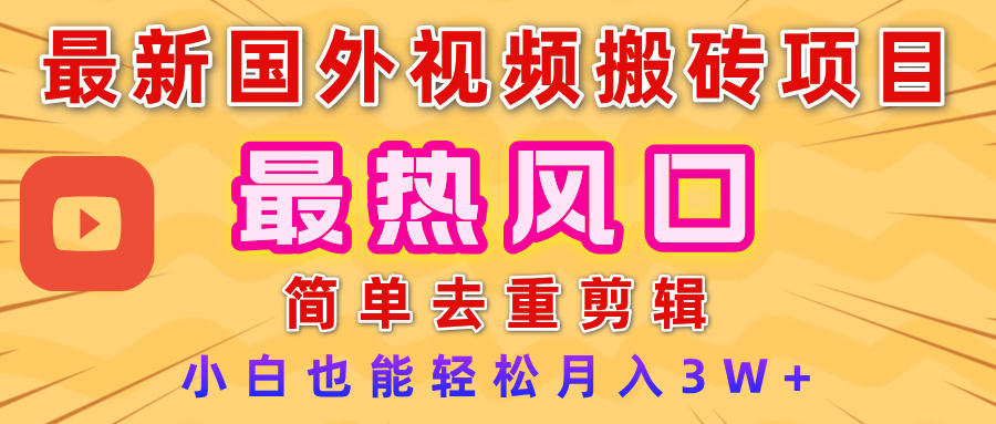 2025最新热门风口，国外视频搬砖项目，简单去重剪辑，小白也能轻松月入3W+-艾莉资源
