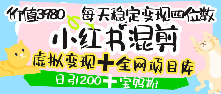 价值3980的小红书混剪， 虚拟变现 ＋全网项目库 ， 日引200+宝妈创业粉，每天稳定四位数变现-艾莉资源