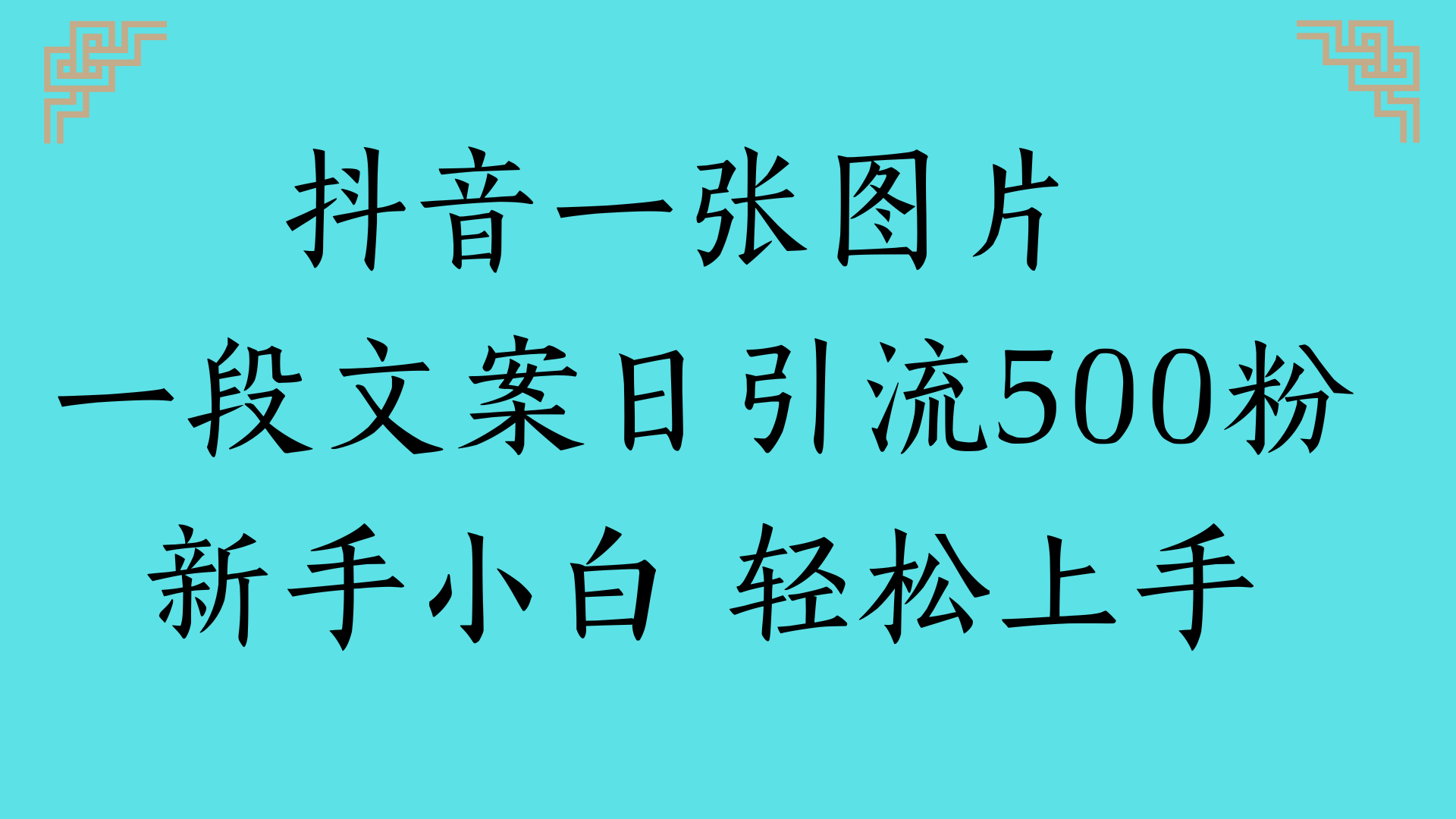 抖音一张图片 一段文案日引流500粉新手小白 轻松上手-艾莉资源