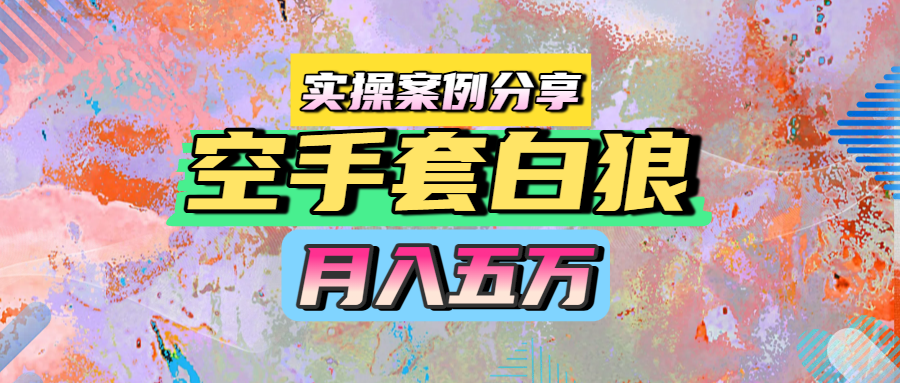 空手套白狼，月入五万，实操案例分享-艾莉资源