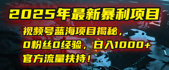 2025年最新暴利项目：视频号蓝海项目揭秘，0粉丝0经验，日入1000+，官方流量扶持！-艾莉资源