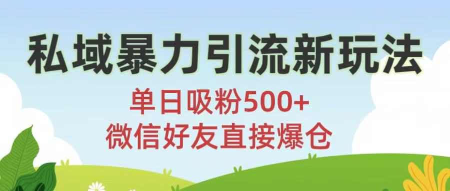 私域暴力引流新玩法!单日吸粉500+，微信好友直接爆仓-艾莉资源