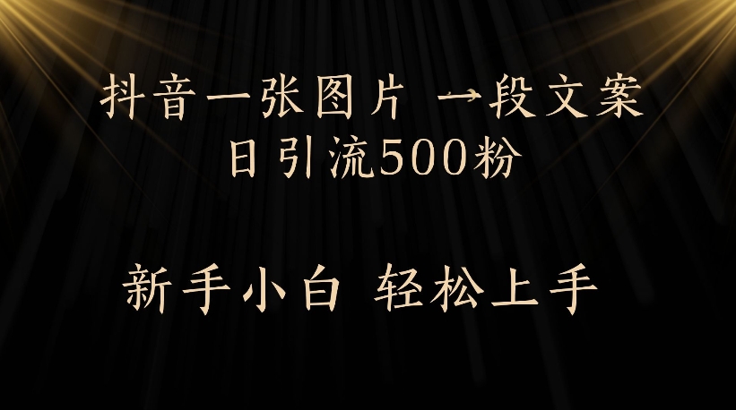 抖音一张图片，一段文案日引流500粉，新手小白 轻松上手-艾莉资源