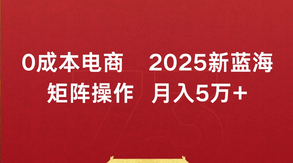 0成本电商2025新蓝海矩阵操作 月入5万+-艾莉资源