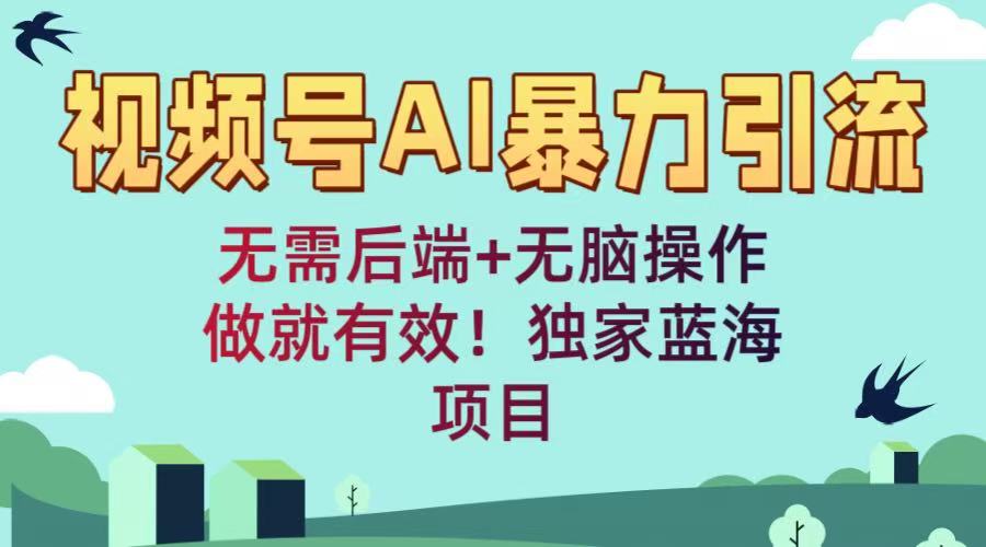 视频号AI暴力引流：无需后端+无脑操作，做就有效！独家蓝海项目-艾莉资源