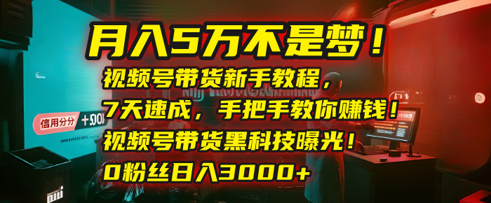 月入5万不是梦！视频号带货新手教程，7天速成，手把手教你赚钱！视频号带货黑科技曝光！0粉丝日入3000+-艾莉资源