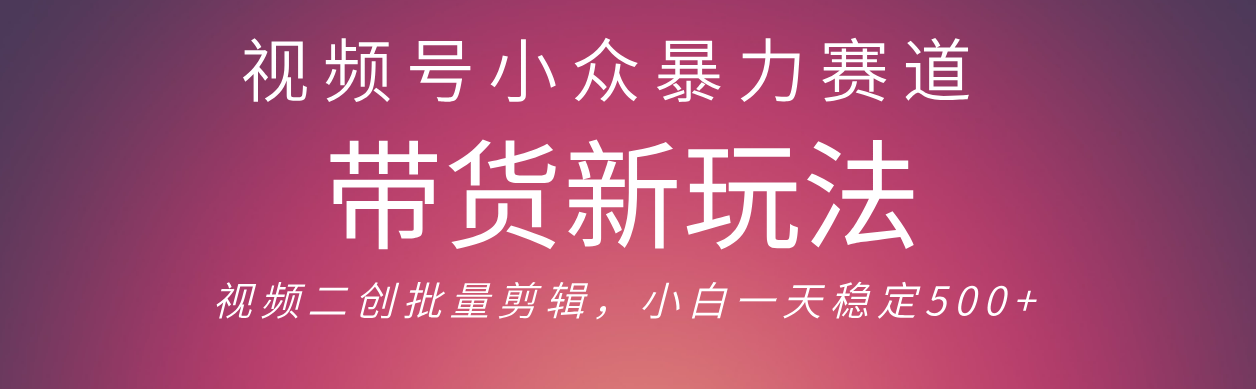 视频号小众暴力赛道，最新带货玩法 小白也能轻松日入500+ 保姆及教程-艾莉资源