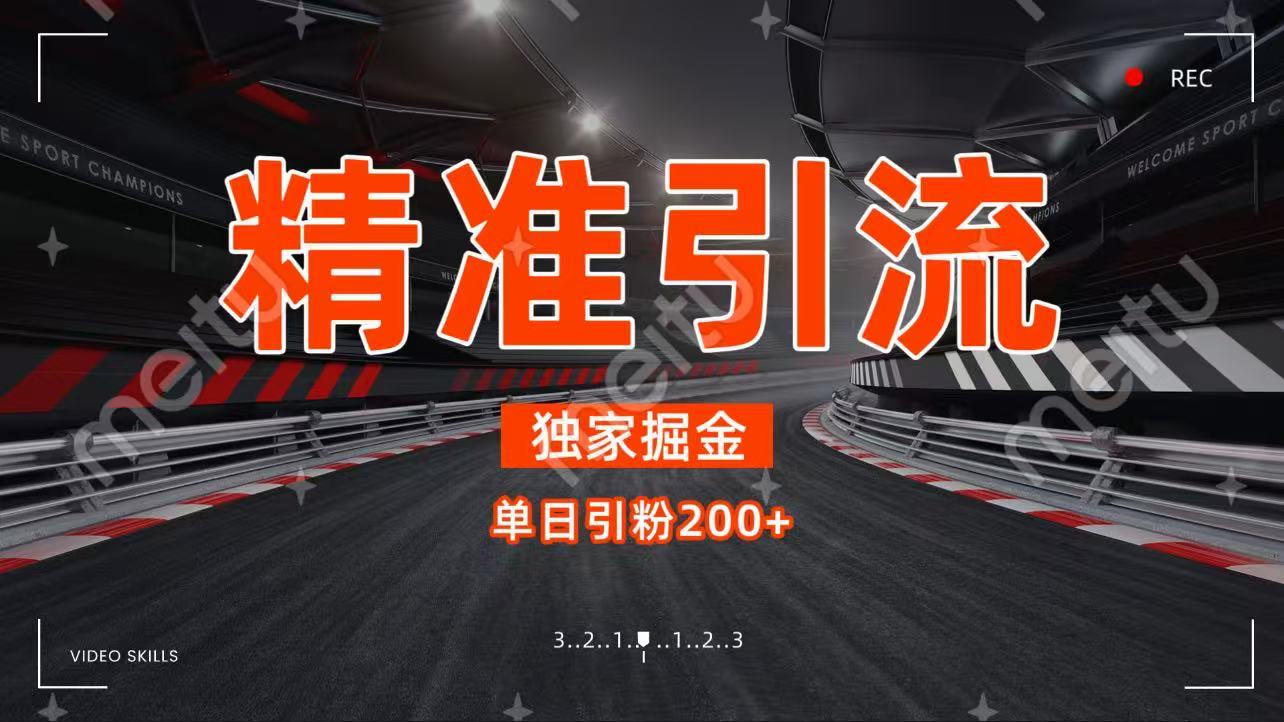 独家野路子精准引流 每日200+-艾莉资源