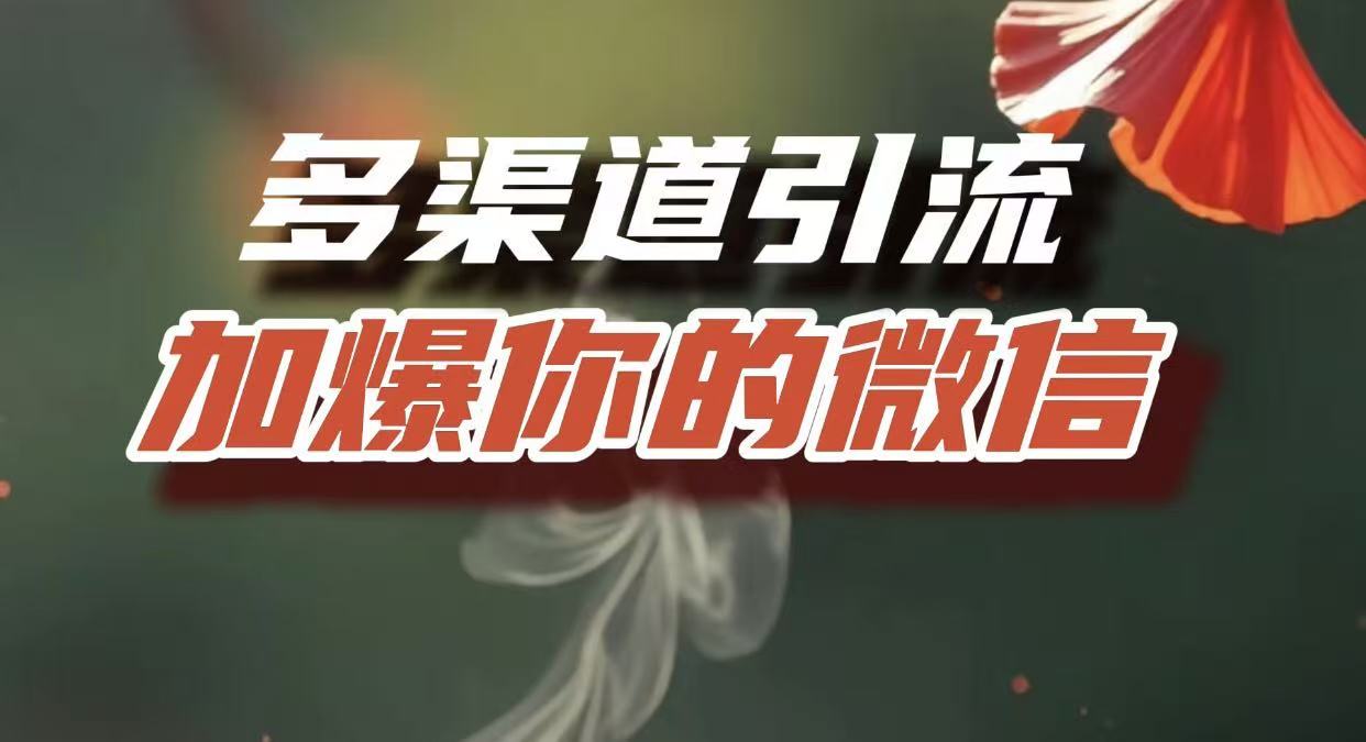 多渠道引流，加爆你的微信，把流量导入到私域，这是每一个想要在互联网赚钱的人必须掌握的底层能力-艾莉资源